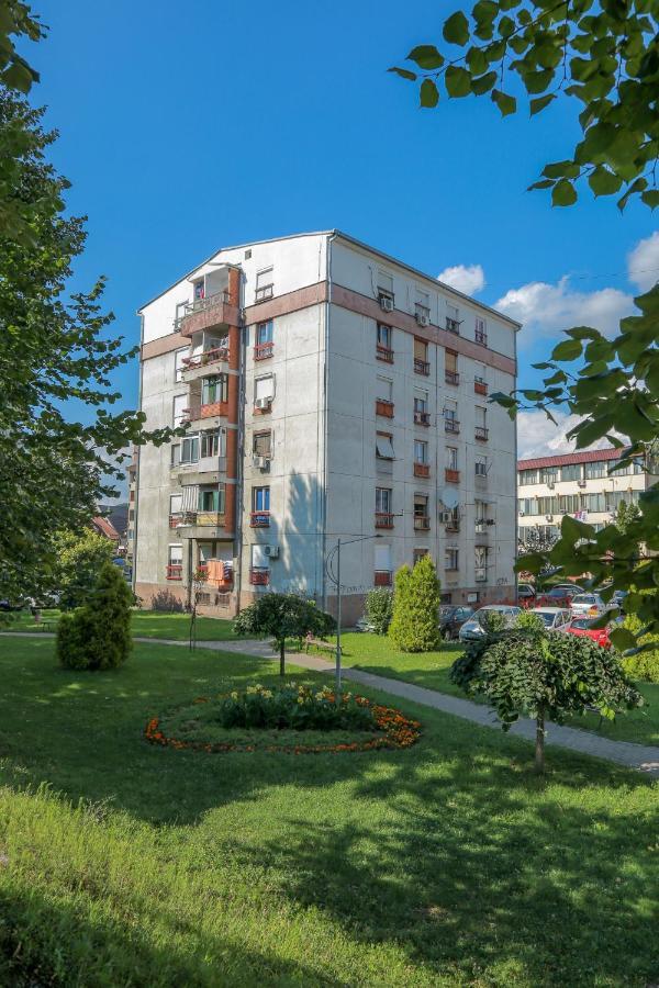 Апартаменти Apartman Marija Пірот Екстер'єр фото